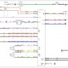 Tesla Roadster 2010 LHD Circuit Diagram 1