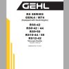 GEHLTE1 3