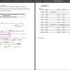 Jaguar F PACE X761 L6 3.0L Turbo Hybrid 2021 Electrical Wiring Diagrams 1