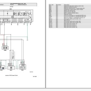 Opel PSA Grandland X PHEV P1UO 2019 2021 Wiring Diagrams 1