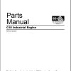 CAT Industrial Engine C18 Parts Manual SEBP3816 2004