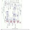 Autocar Truck ACMD Wiring Diagram Diesel Single Drive 1