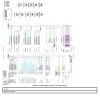 Cummins Truck ISM CM876 Less Aftertreatment Wiring Diagram Engine Controls