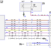 Ford Bronco Sport 2022 Electrical Wiring Diagram Connector Viewer Pinout 2