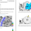 Ford Explorer 2021 Electrical Wiring Diagram Connector Viewer Pinout Engine 3