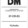 Kubota Common Rail System 07 CR E5 Diagnosis Manual