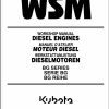 Kubota Diesel Engine BG Series Workshop Manual
