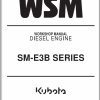 Kubota Diesel Engine SM E3B Series Workshop Manual