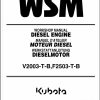 Kubota Diesel Engine V2003 T B F2503 T B Workshop Manual