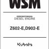 Kubota Diesel Engine Z602 E D902 E Workshop Manual