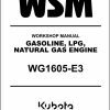 Kubota Gasoline LPG Natural Gas Engine WG1605 E3 Workshop Manual