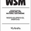 Kubota Gasoline LPG Natural Gas Engine WG972 E2 DF972 E2 DG972 E2 Workshop Manual