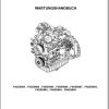 Steyr Agricultural Tractor F4CE9484 F4HE9684 Maintenance Manual DE