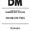 Kubota Common Rail System V6108 CR TIE4 Diagnosis Manual