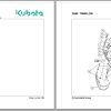 Kubota Disc Spreaders DSM Spare Parts Manual 2016 1