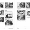 Daewoo Forklift D15S 2 to G20SC 2 Service Manuals SB4048E00 1