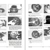 Daewoo Forklift D50S 2 to G70S 2 Service Manuals SB4142E00 1