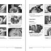 Daewoo Forklift GC15S 2 to GC20SC 2 Service Manuals SB4007E01 1