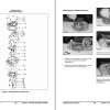 Daewoo LP Gasoline Dual Fuel Engine Service Manual SB4241E00 1