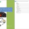 Merlo Telescopic Handler Diagnostic Software Data Sets DE 1