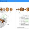 Skoda Collection Service Training 2