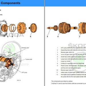 Skoda Collection Service Training 2
