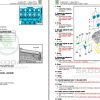 Skoda Kushaq PA Workshop Manual 1