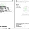 Skoda Roomster 5J 5J0 Workshop Manual