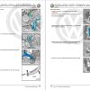 Volkswagen Sharan 2019 Workshop Manual Wiring Diagram 1