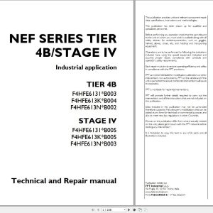 Case Engine F4HFE613 Series NEF Tier 4B Stage IV Technical Repair Manual P2D32N028 E