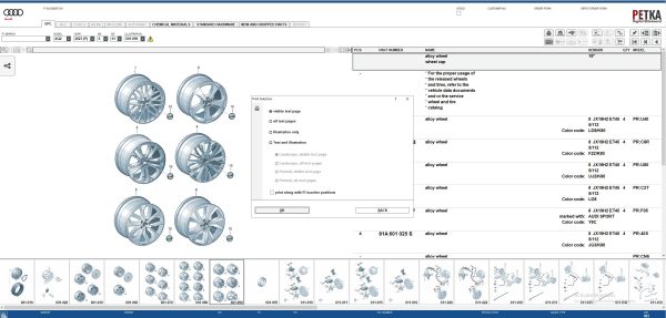 PETKA 8.3 Audi 1519 09.2023 Spare Parts Catalog 6 1