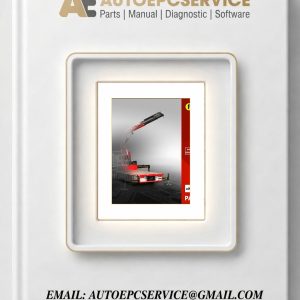 Palfinger PALDIAG 2023 Diagnostic Software Remote Installation download