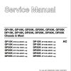 CAT Lift Truck DP20K FC Service Manual 1