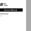 CAT Lift Truck DP25 MC Service Manual