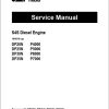 CAT Lift Truck DP25NT Service Operation Maintenance Manual 1