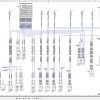 Fendt 720 722 724 726 728 Vario Gen7 Operators Workshop and Diagrams RU