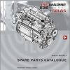 Steyr Motors Marine Engine MO196K35 Spare Parts Catalogue