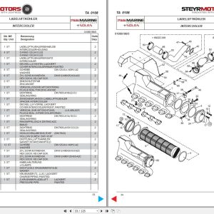 Steyr Motors Marine Engine MO266K43 Spare Parts Catalogue EN DE 1