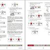 GEHL Radio Remote Boom Control System Parts Manual 913236D 1