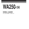 Komatsu Wheel Loader WA250 1H Part Book JEPB000901