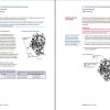 Sauer Danfoss Closed Circuit Axial Piston Pump H145 H153 Service Manual 918358 1