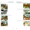 JLG Boom Lifts EC600SJ EC600SJP H600SJ H600SJP Service Maintenance Manual 31222349 2023 PVC 2307 1