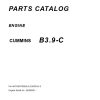 Kawasaki Wheel Loader 50ZA 50ZA 2 50ZIV 50ZIV 2 Parts Manual EN JP