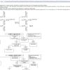 Yale Forklift A865 MO10S Service Manual