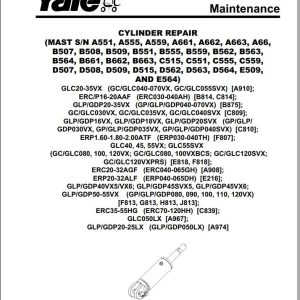 Yale Forklift B875 GLP20 35VX GDP20 35VX Europe Service Manual 1