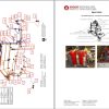 Liebherr Hydraulic Excavator R9100 R9100B Service Manual 26573 12.2021 1