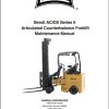 Landoll Bendi Forklift AC DS Series 6 Parts Operation Maintenance Manual 2