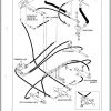 052 TCM Forklift FD20Z3 to FHD30Z Service Manual SEF 13AAE 2