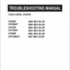 CAT Lift Trucks DP60HP DP60P DP70P DP100CP DP80P DP70HP Operation Service Manual 11.2023