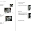 CAT Lift Trucks GP15PD GP18PD GP18PT to GP35PTL Service Manual 04.2024 1